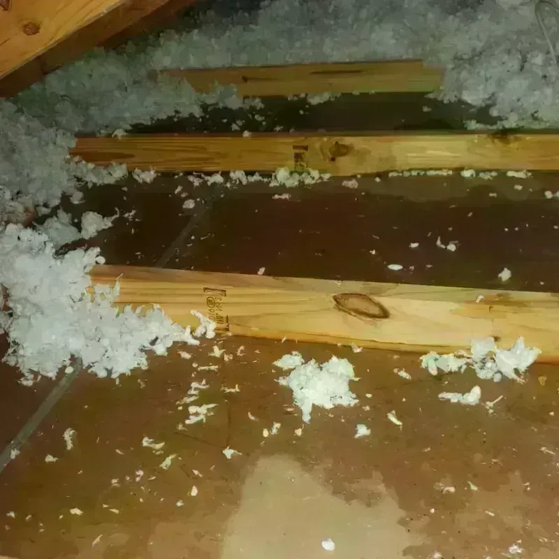 Attic Water Damage in Branford Center, CT